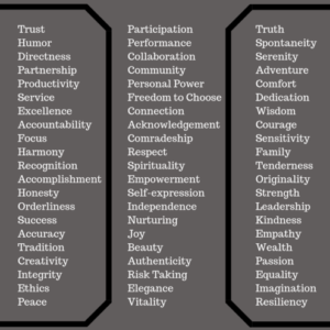 leader-values